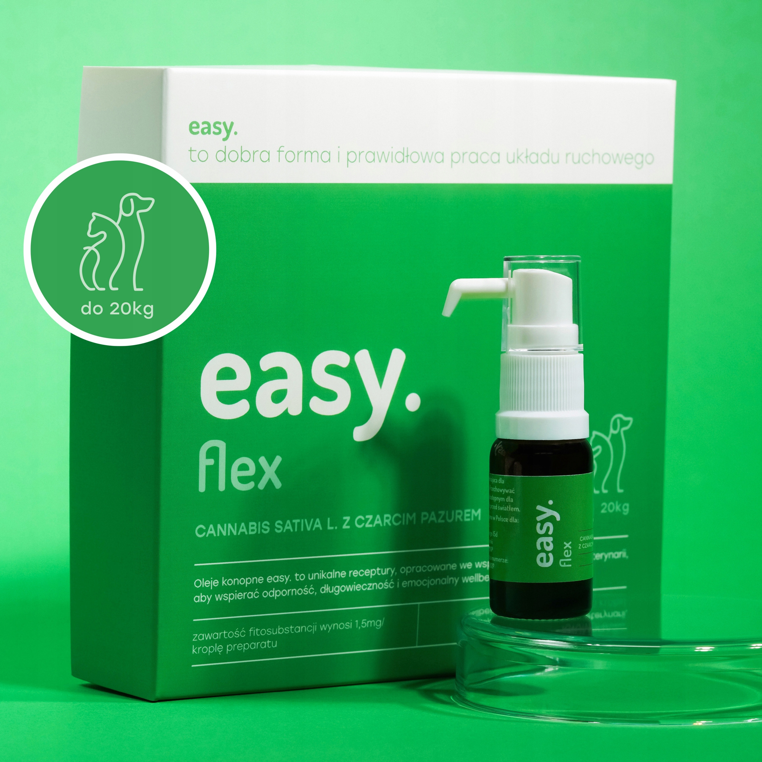 Wspomaganie stawów i układu ruchowego