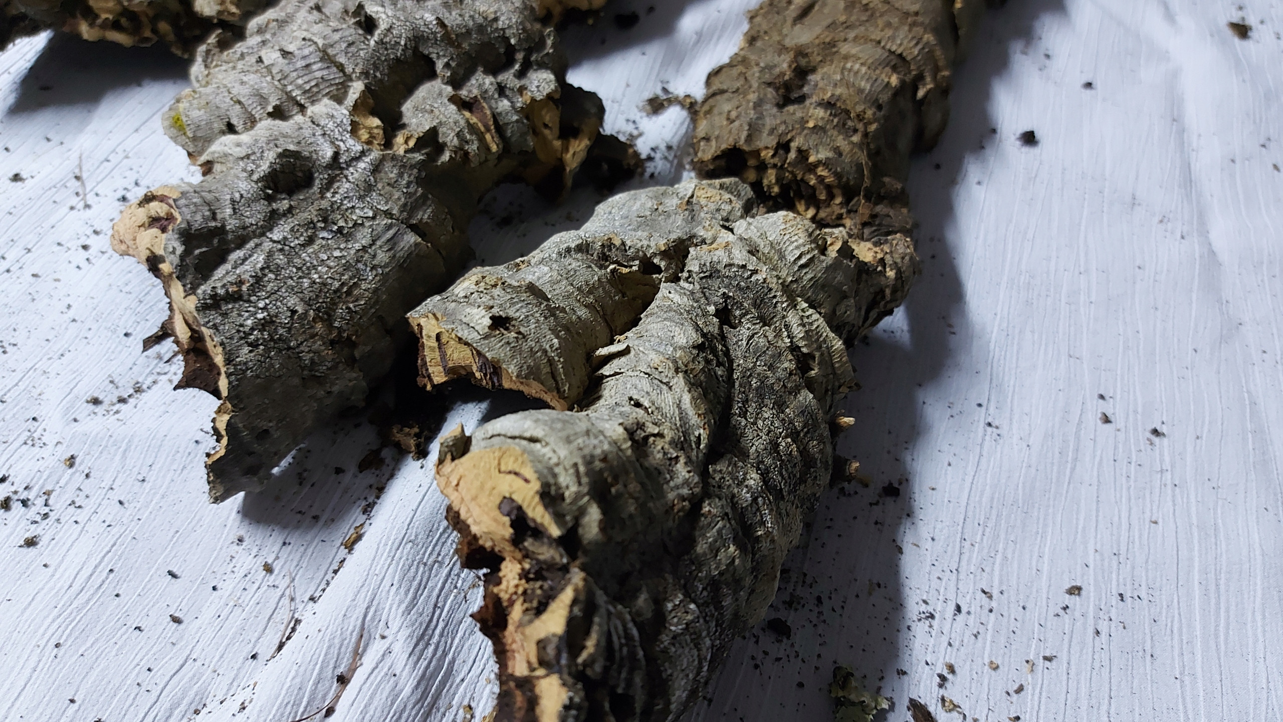 Wymiary podłoża: szerokość 15-18 cm, długość 35-40 cm