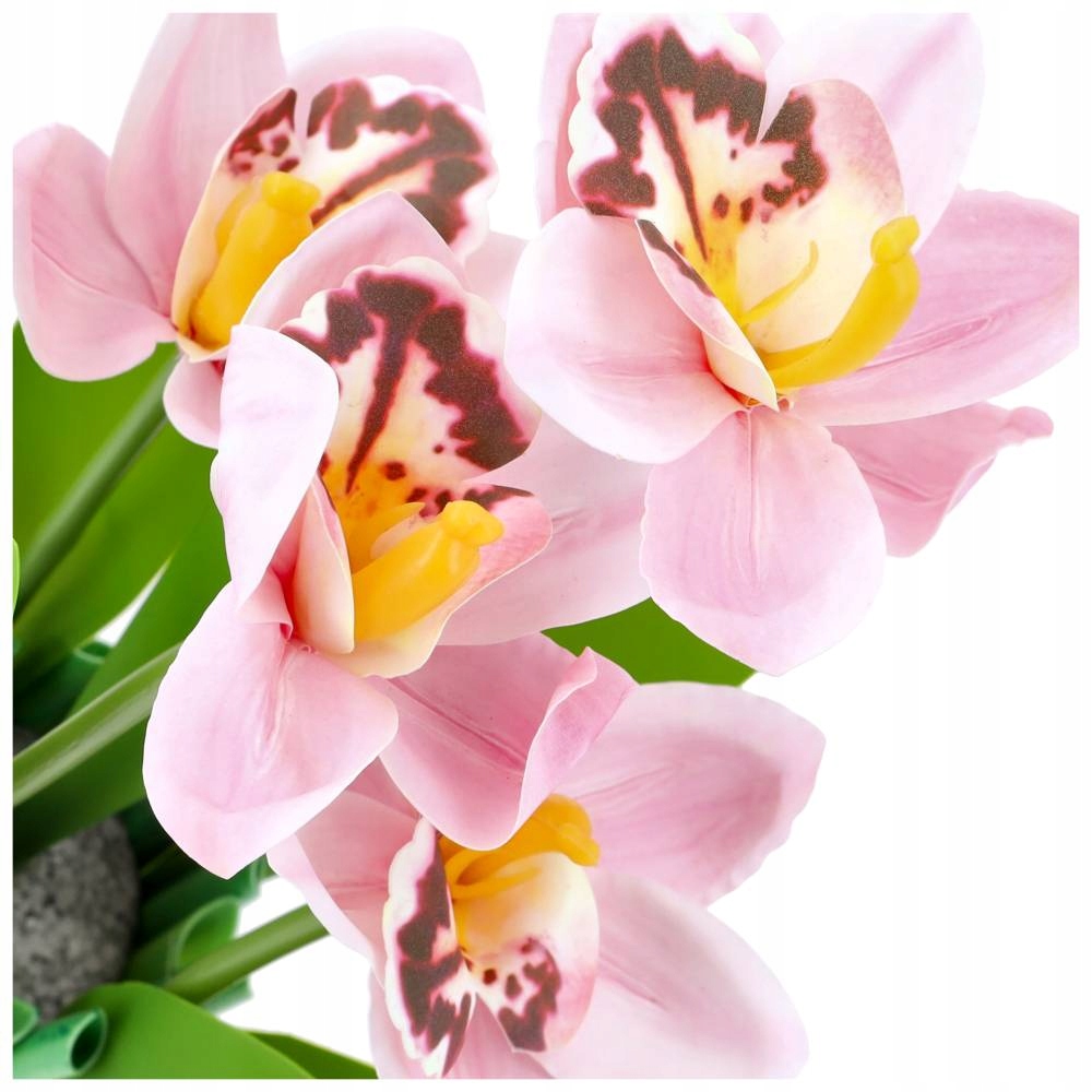 Naturalny wygląd i różnorodność kolorów