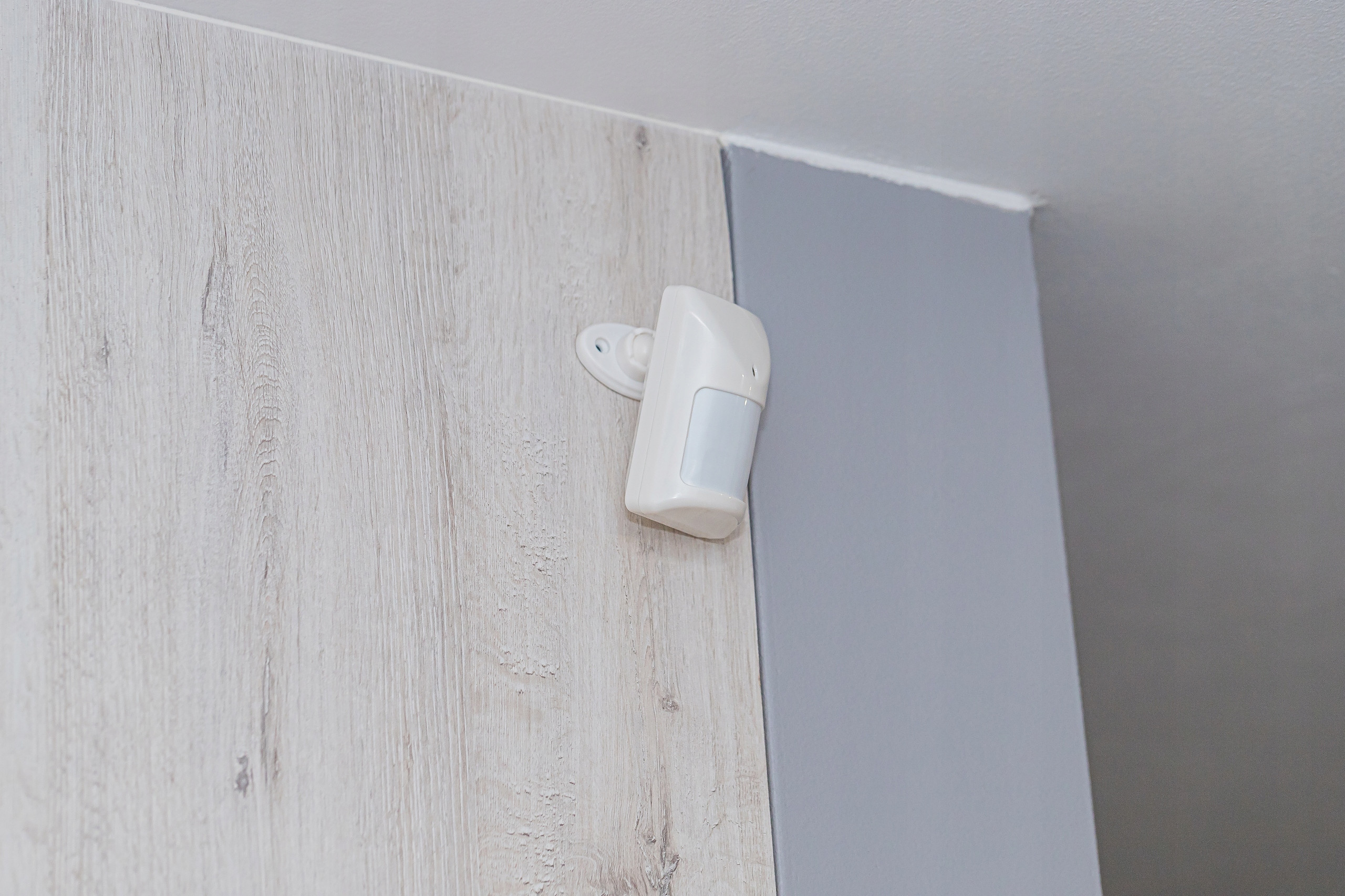 Powiadomienia w języku polskim