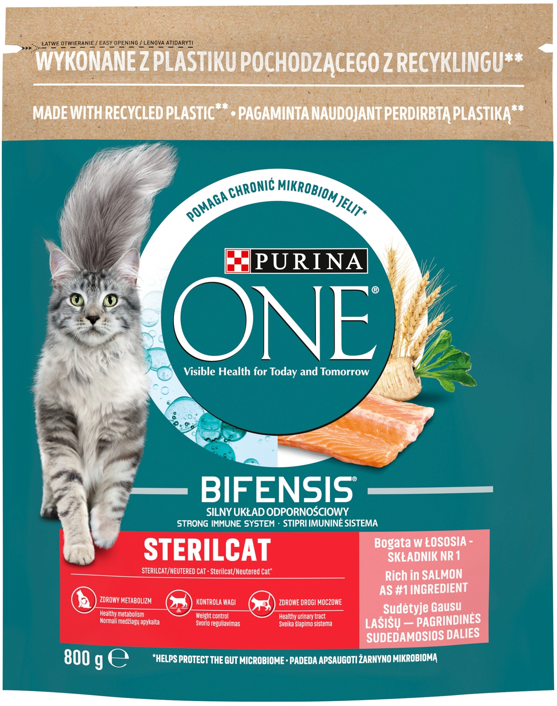 Purina ONE STERILCAT Łosoś z pszenicą 800g – Idealna karma dla kotów po sterylizacji