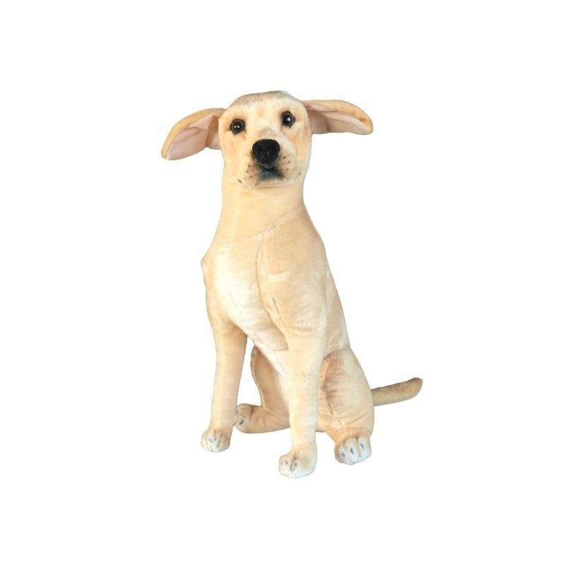 Pies Labrador 65cm – Idealna przytulanka dla niemowląt