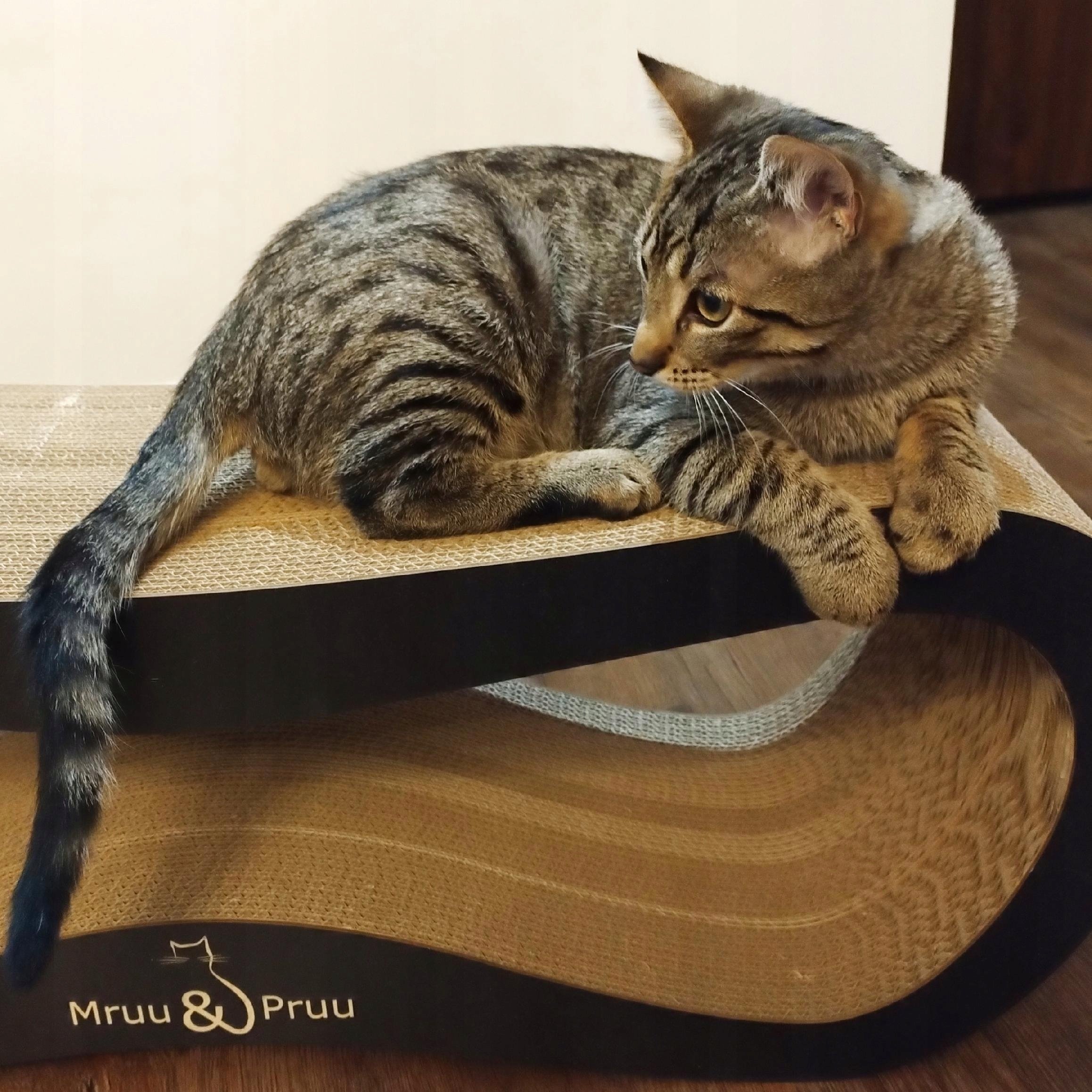 Ergonomiczny kształt – Wygodne miejsce do drapania i relaksu