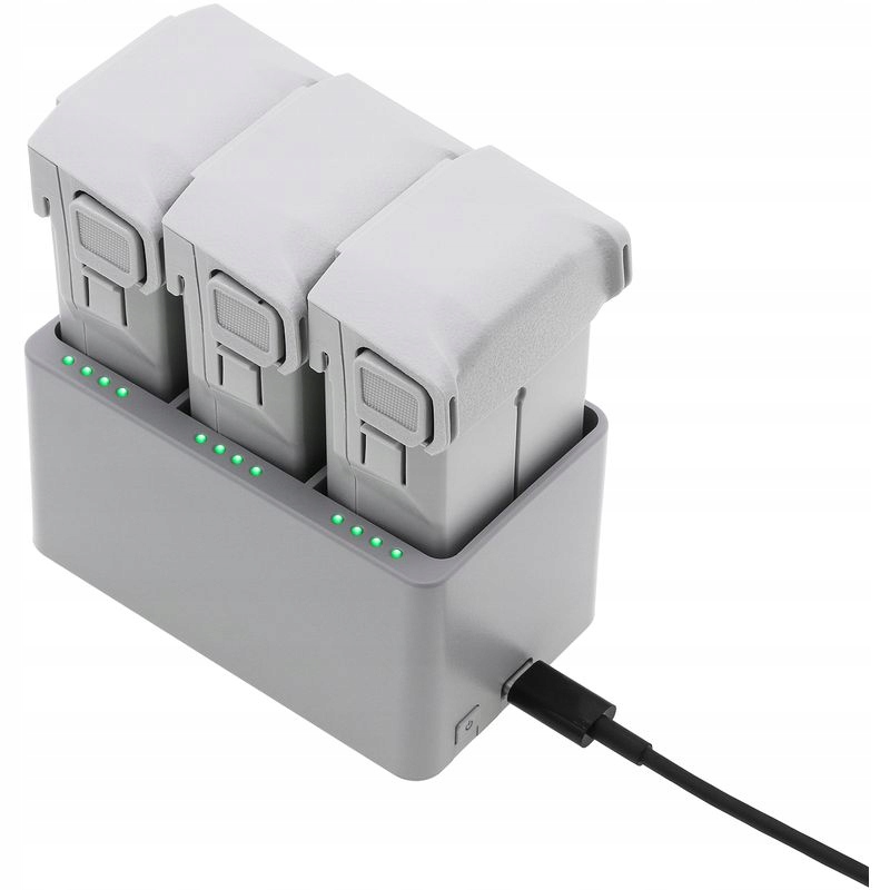 Wskaźnik poziomu naładowania – Kontrola stanu akumulatorów