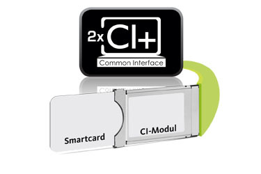 2 x gniazda Common Interface (CI+)