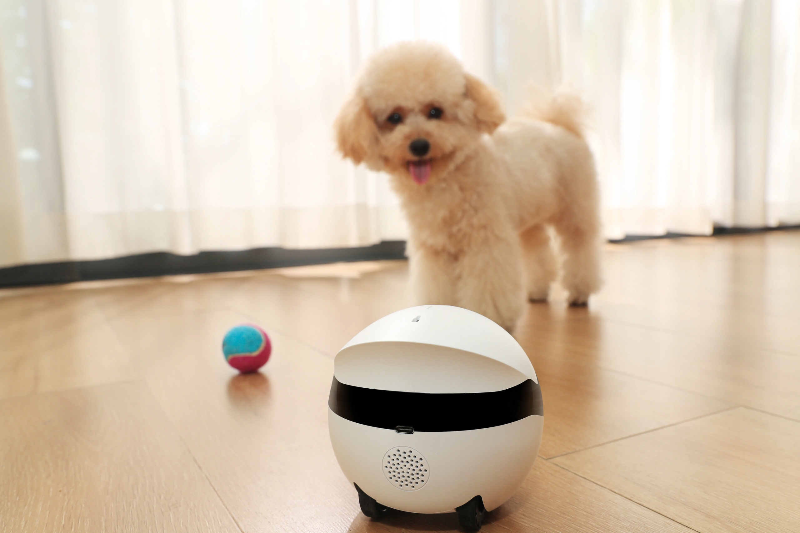 Automatyczne śledzenie ruchu – nie przegap żadnego momentu