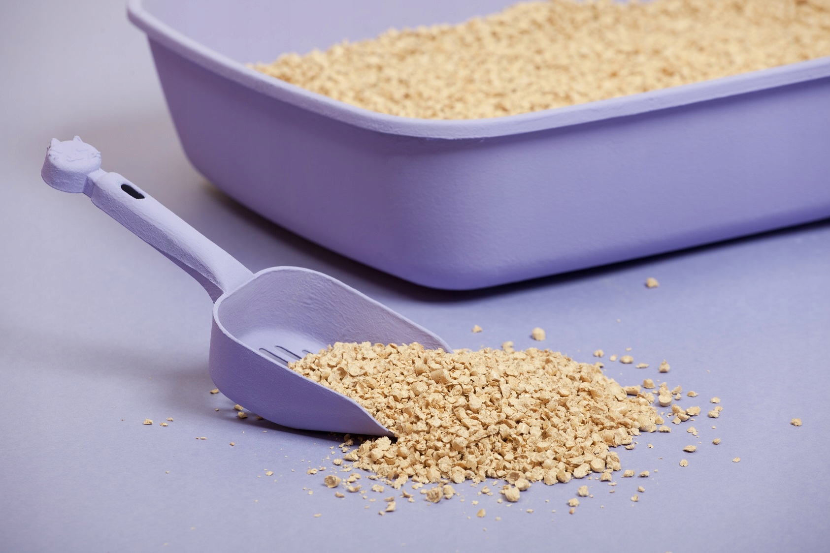 Przyjemny zapach lawendy – komfort dla Ciebie i Twojego pupila