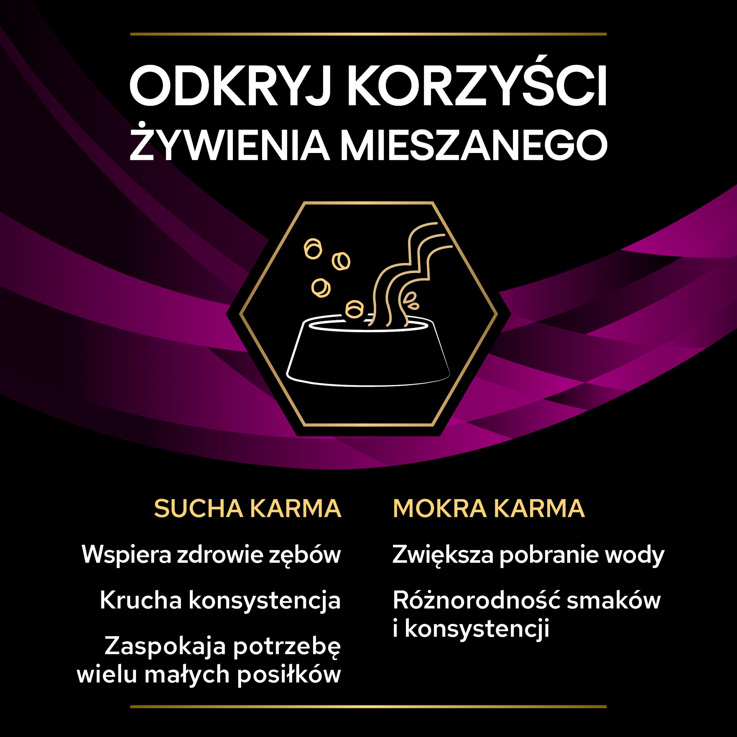 Składniki odżywcze – Co zawiera karma?