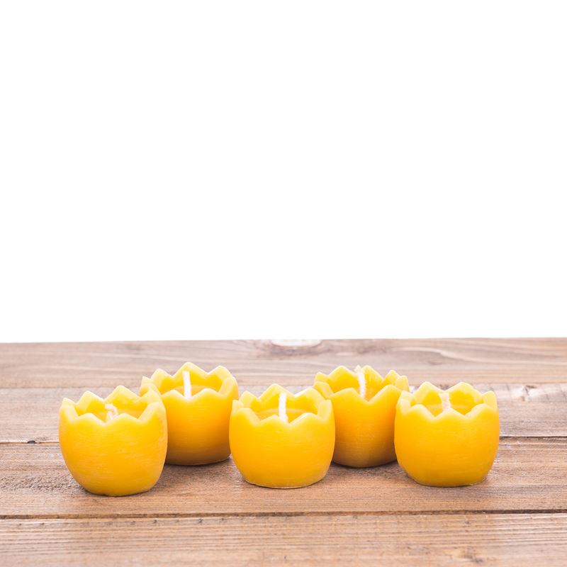17360892_1.jpg