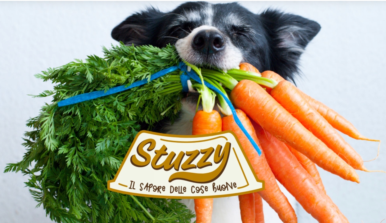 Dlaczego warto wybrać karmę STUZZY dla swojego psa?