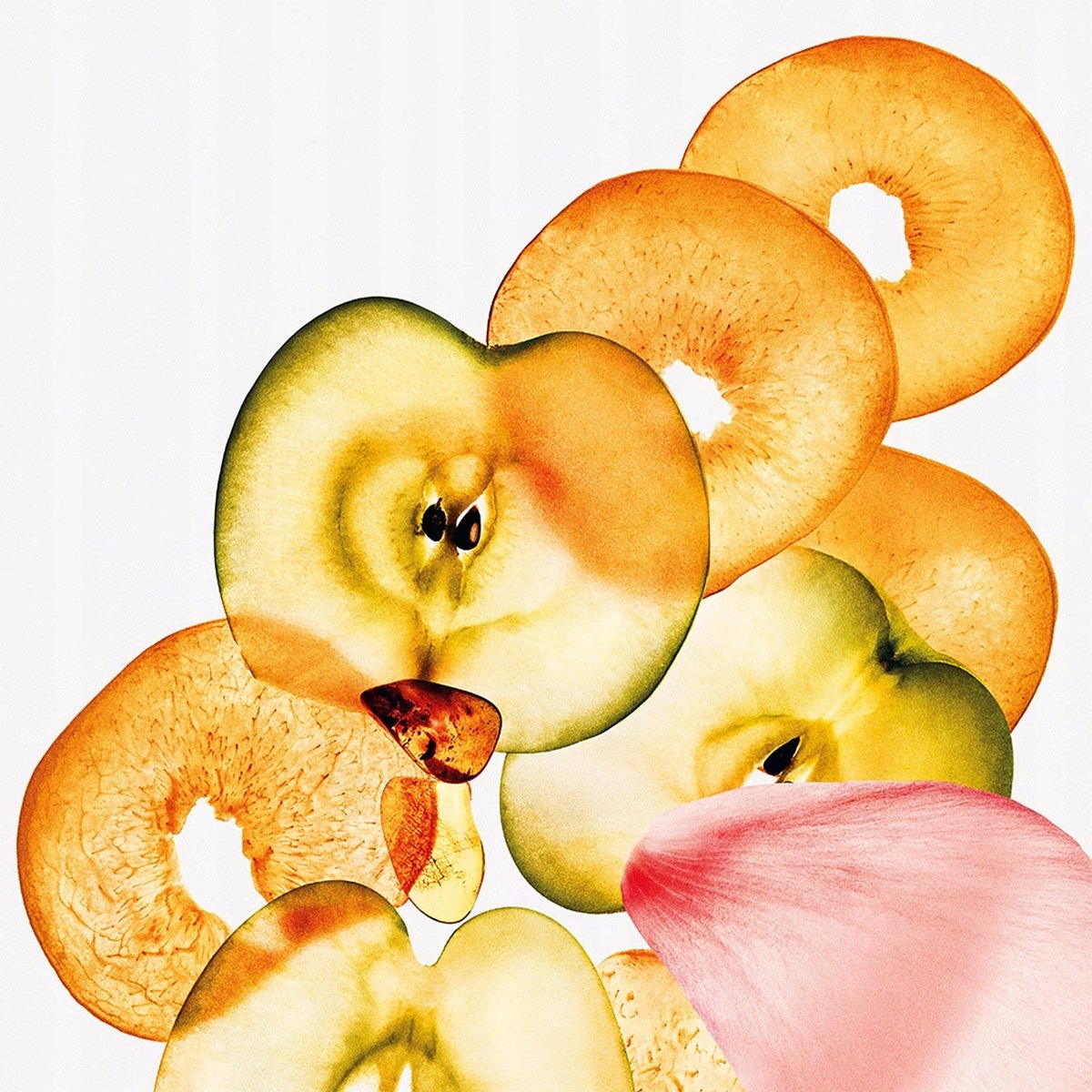 Zmysłowy zapach – Perfekcyjne połączenie świeżości i owocowych nut