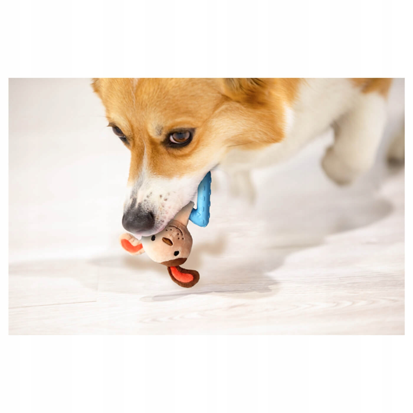 Bezpieczny gryzak dla szczeniąt i młodych psów