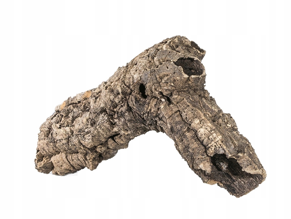 Terra Natura Dekoracja do terrarium tuby korkowe S-M – Naturalne schronienie dla gadów