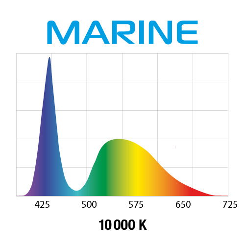 wykres marine