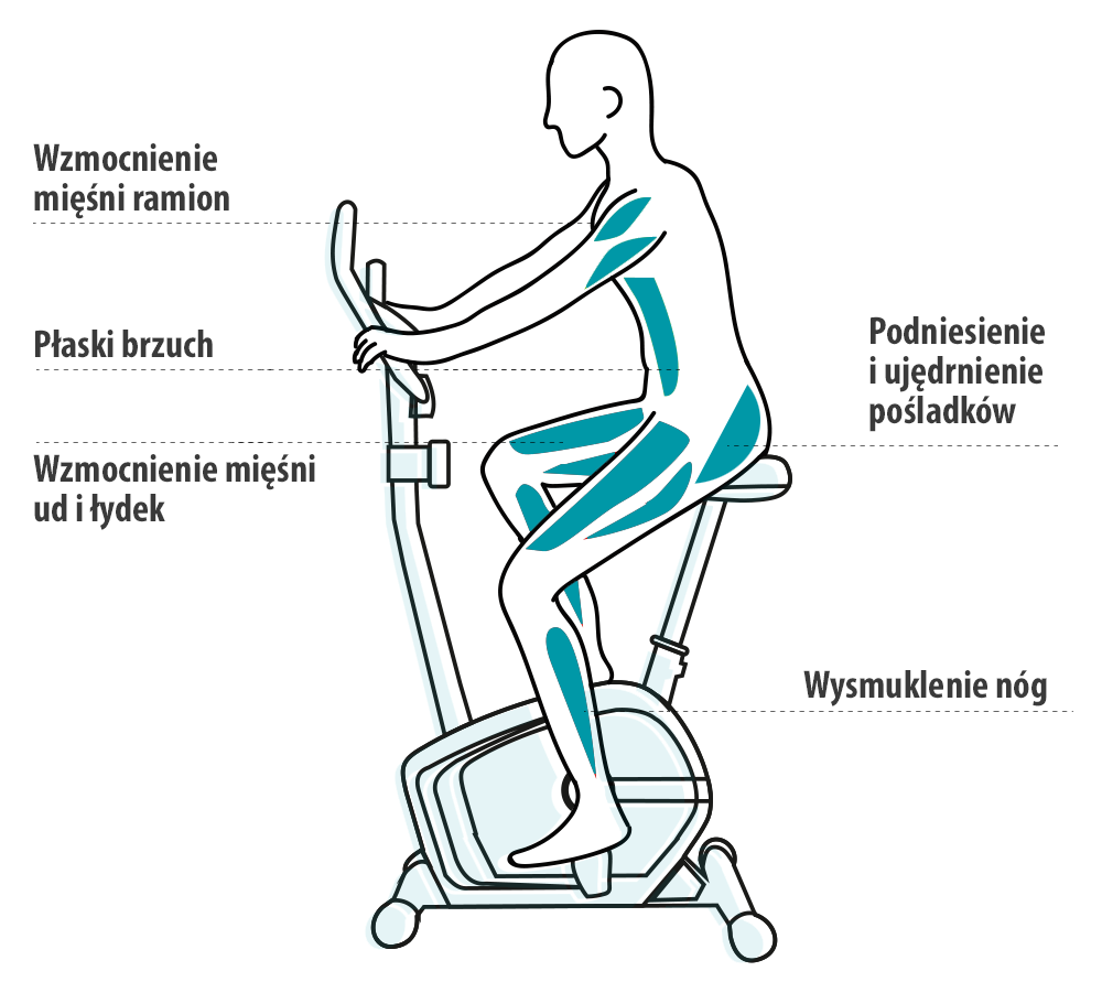 Rower treningowy Zipro 