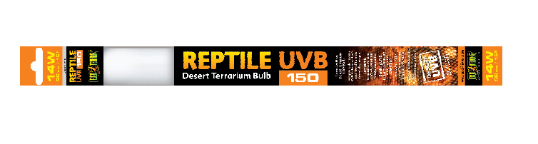 Wysoka moc promieniowania UVB – Klucz do zdrowia Twojego gada