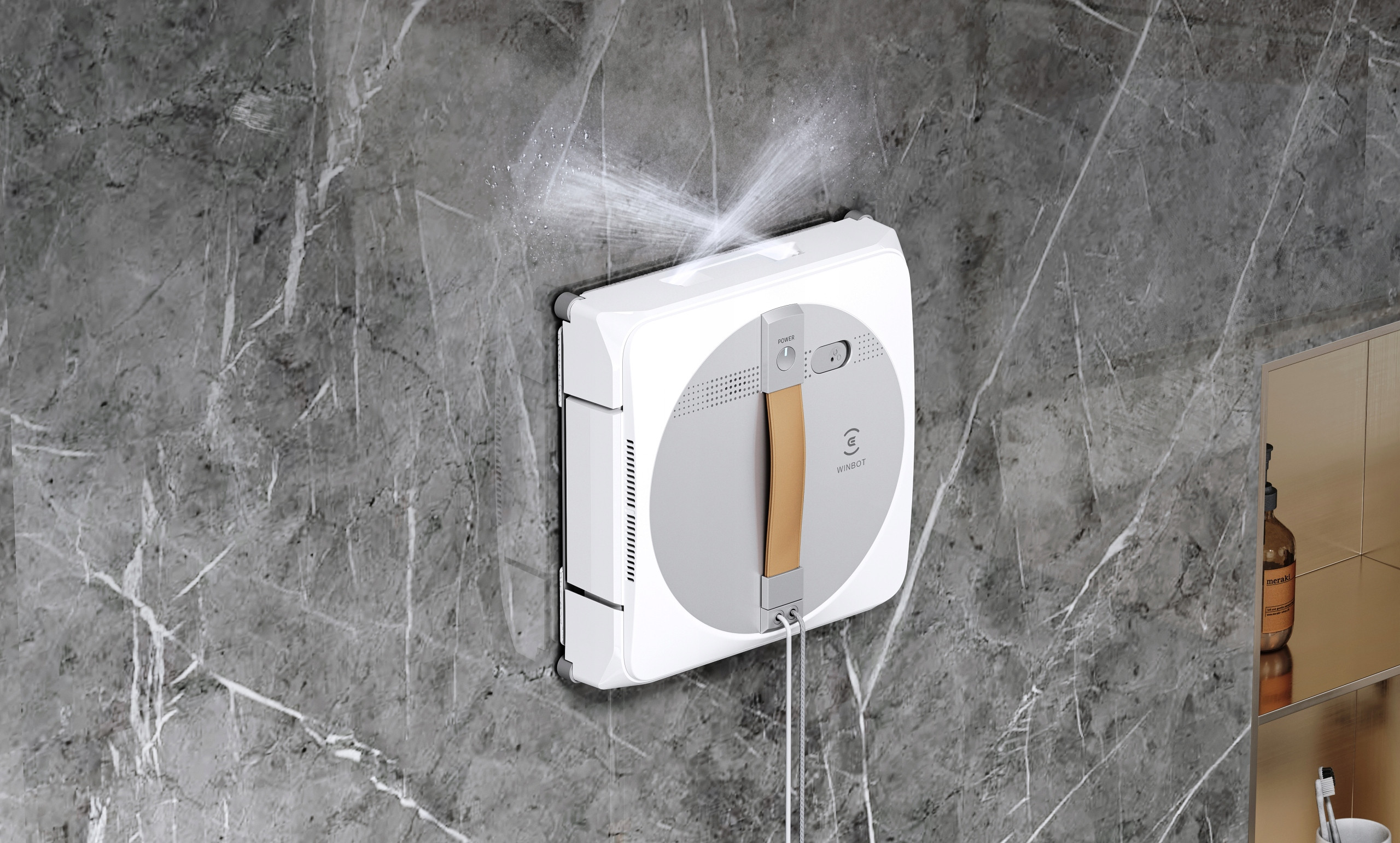 Kompatybilność z modelami Ecovacs Winbot