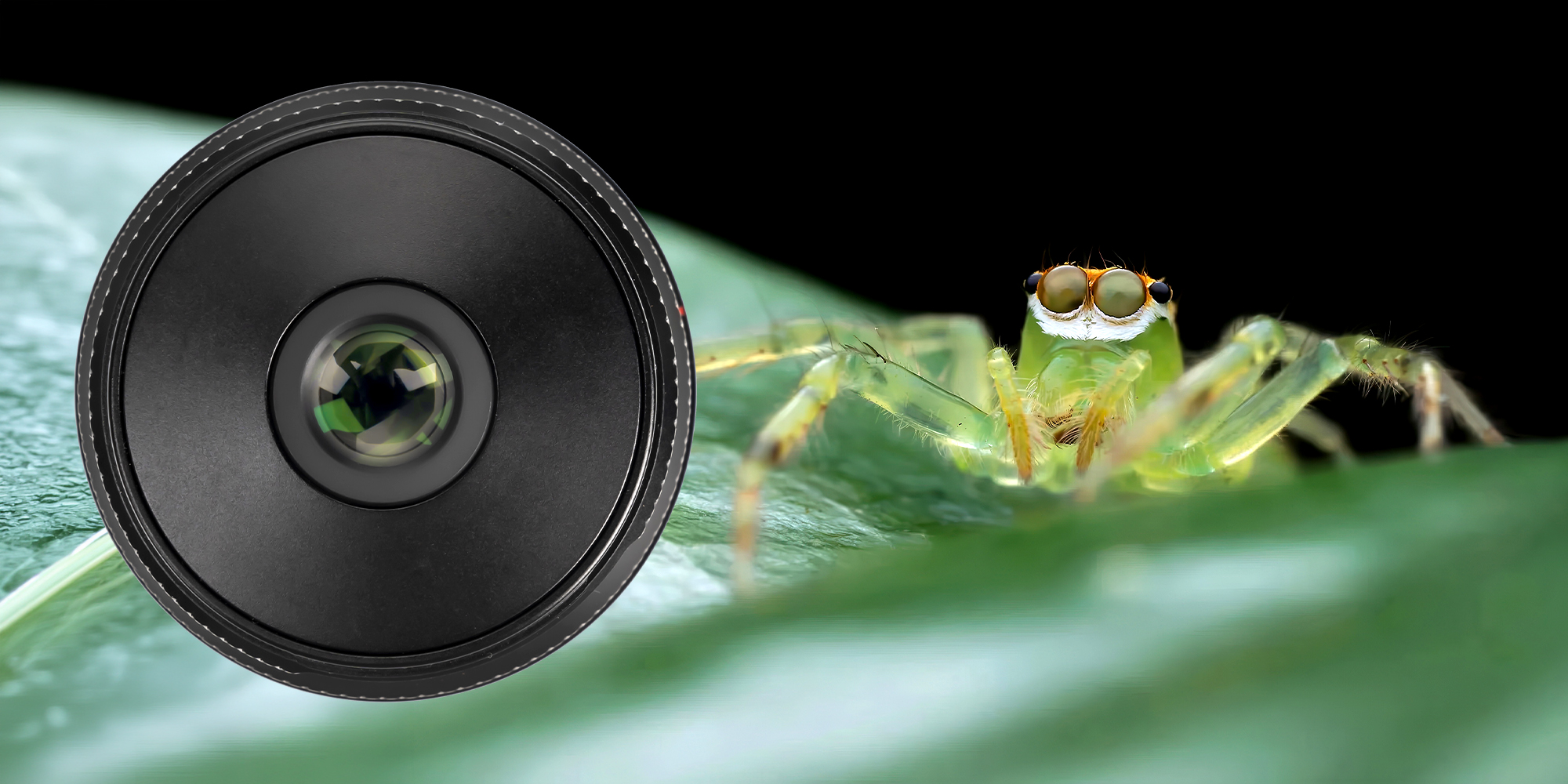 Obiektyw AstrHori MF 25 mm f/2,8 Full-frame Macro do Sony E