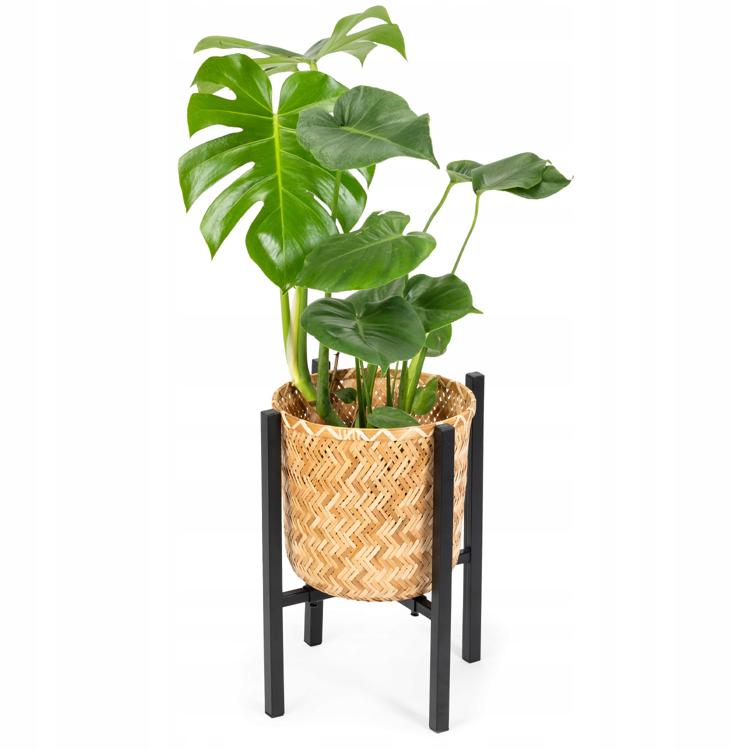 Kwietnik regulowany metalowy stelaż stojak do kwiatów PILLAR – Elegancja i funkcjonalność w Twoim wnętrzu