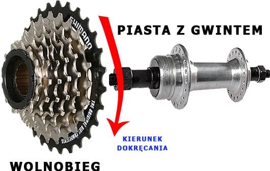 wolnobieg.jpg