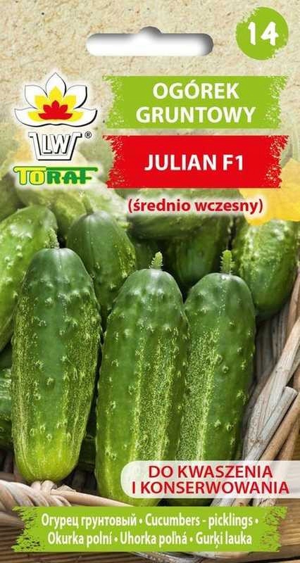 Ogórek gruntowy Julian F1 – Nasiona do Twojego ogrodu