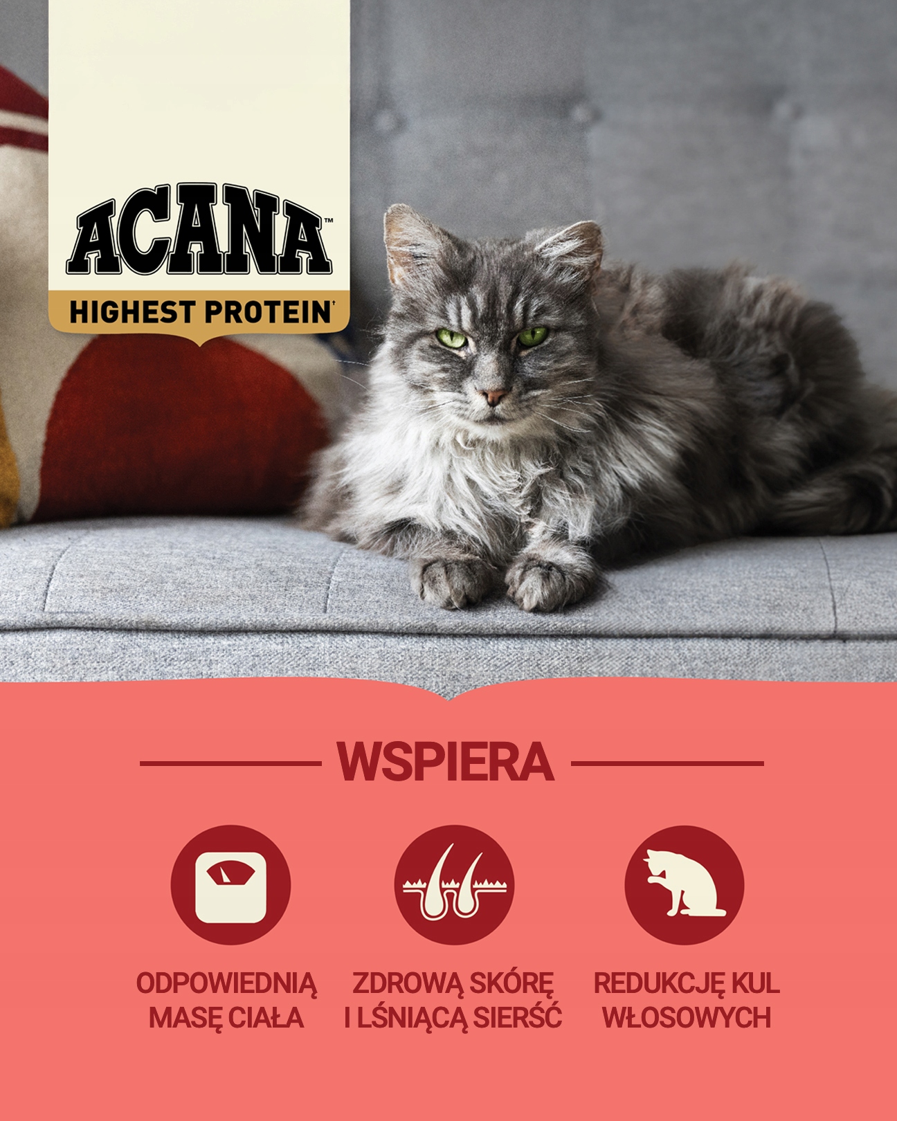 Zdrowa skóra i lśniąca sierść – Omega-3 i Omega-6