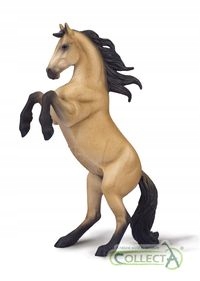 Obrazek