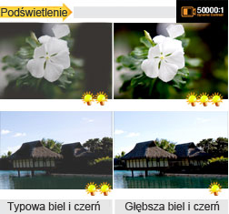 dynamiczny współczynnik kontrastu 50 000:1 (Magic Contrast)