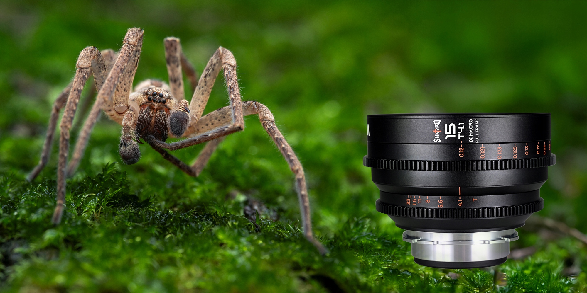 Filmowy bokeh i przejścia tonalne