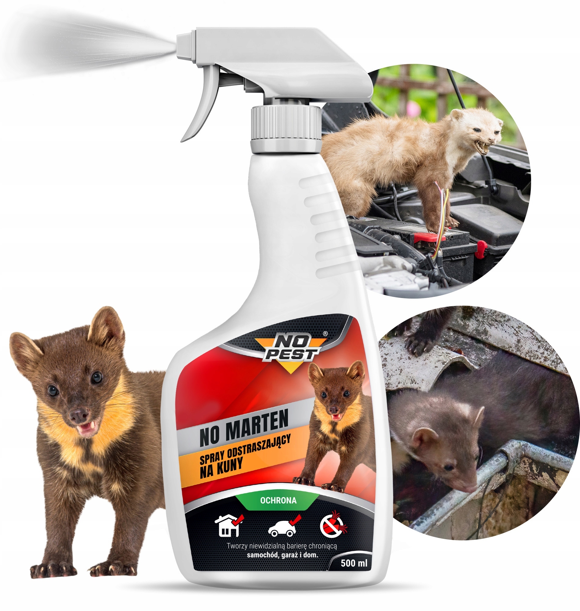 Gdzie stosować spray No Marten*? – Najlepsze lokalizacje