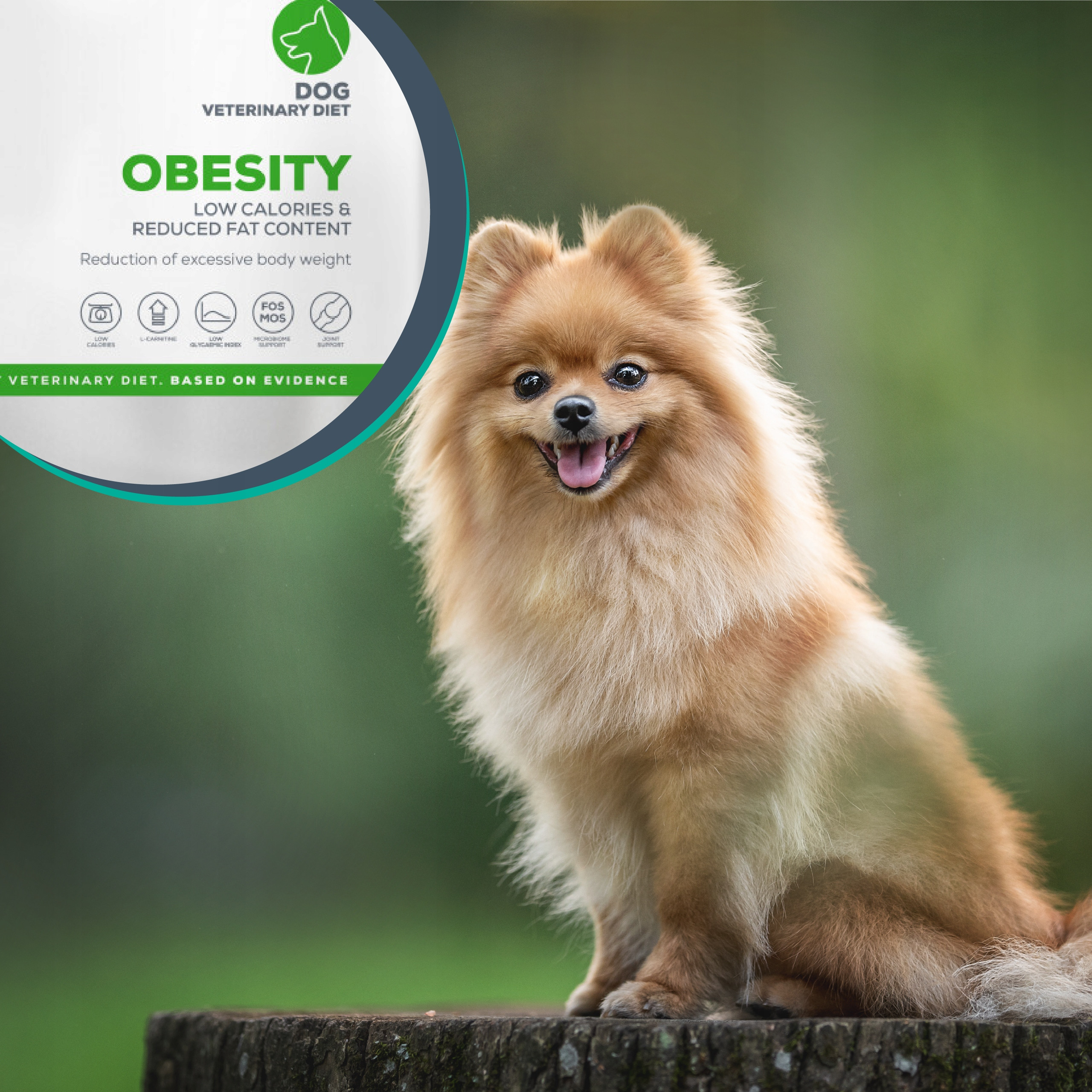 Składniki wspierające zdrowie stawów