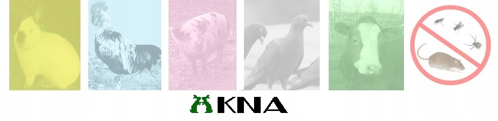 Funkcjonalność i wygoda – Zasuwka oraz możliwość montażu w klatkach