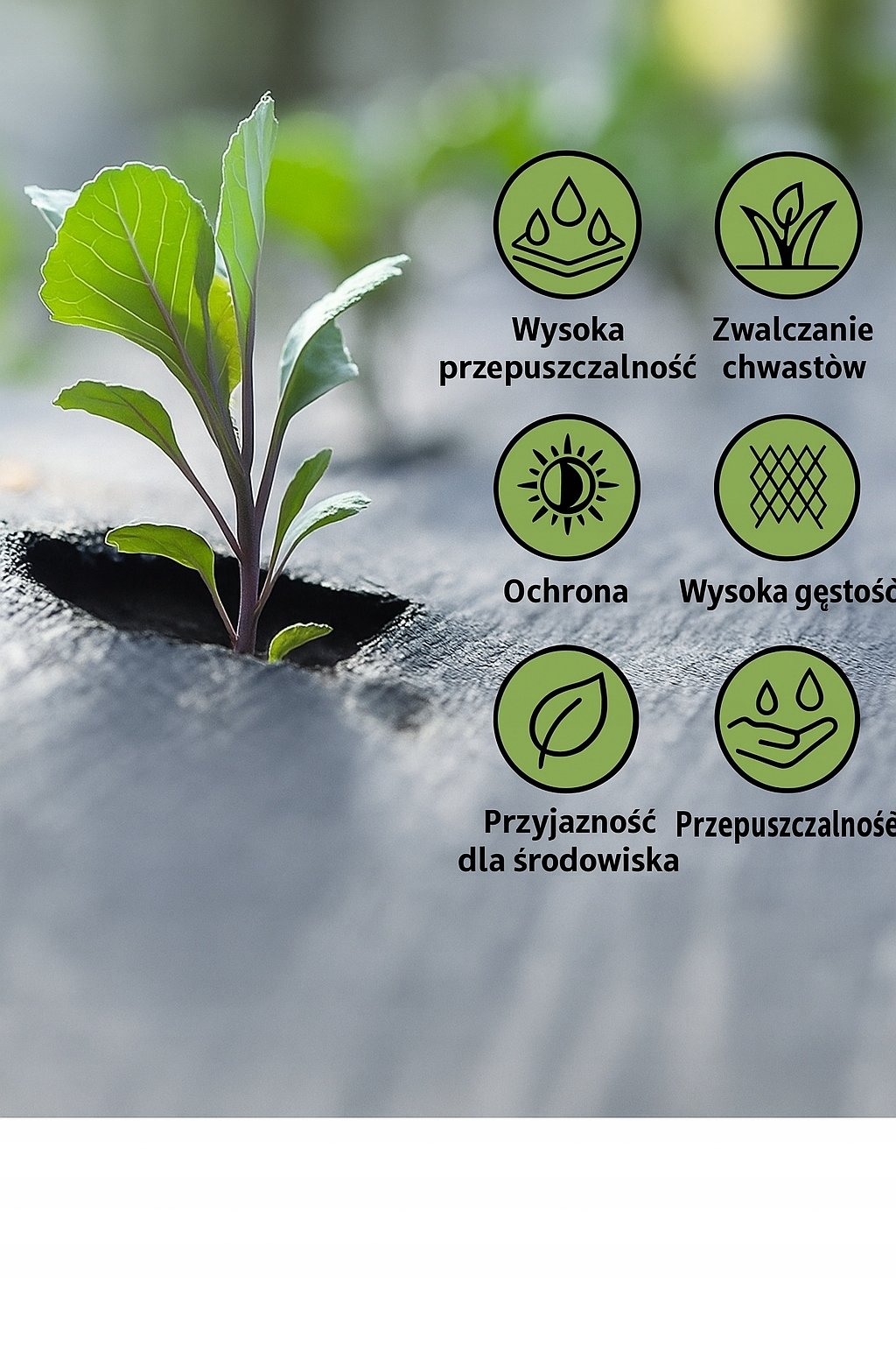 Naturalne zwalczanie chwastów bez chemii