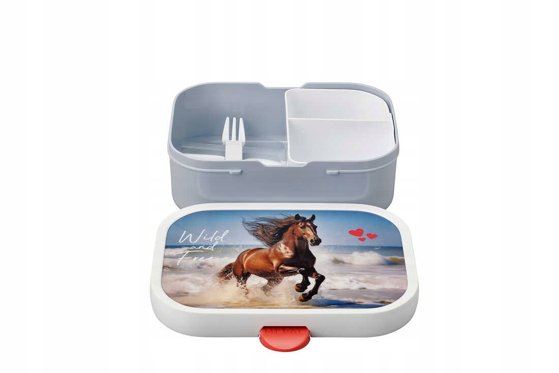 Funkcjonalność i nowoczesny design lunchboxa