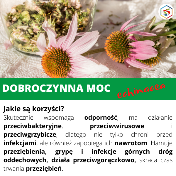 cc627e514ec9c267301f4b1b8ba5e943.png