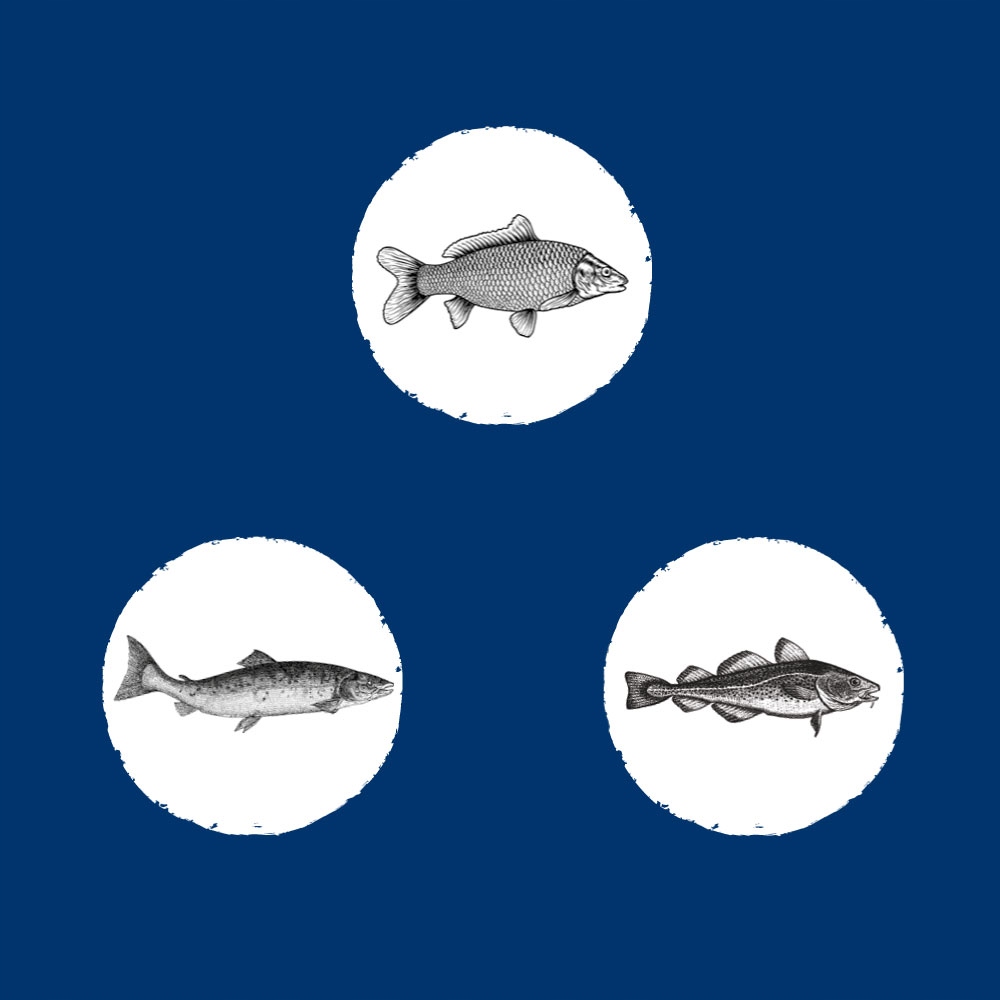 Składniki rybne dla zdrowia Twojego psa