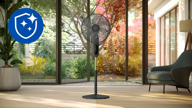 Funkcja aromaterapii – stwórz idealną atmosferę