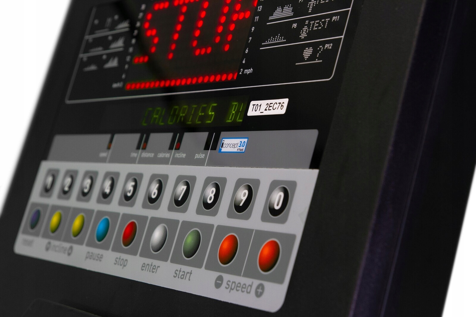 Predefiniowane programy treningowe i testy fitness