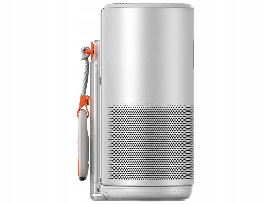 System Google TV z dostępem do Netflixa