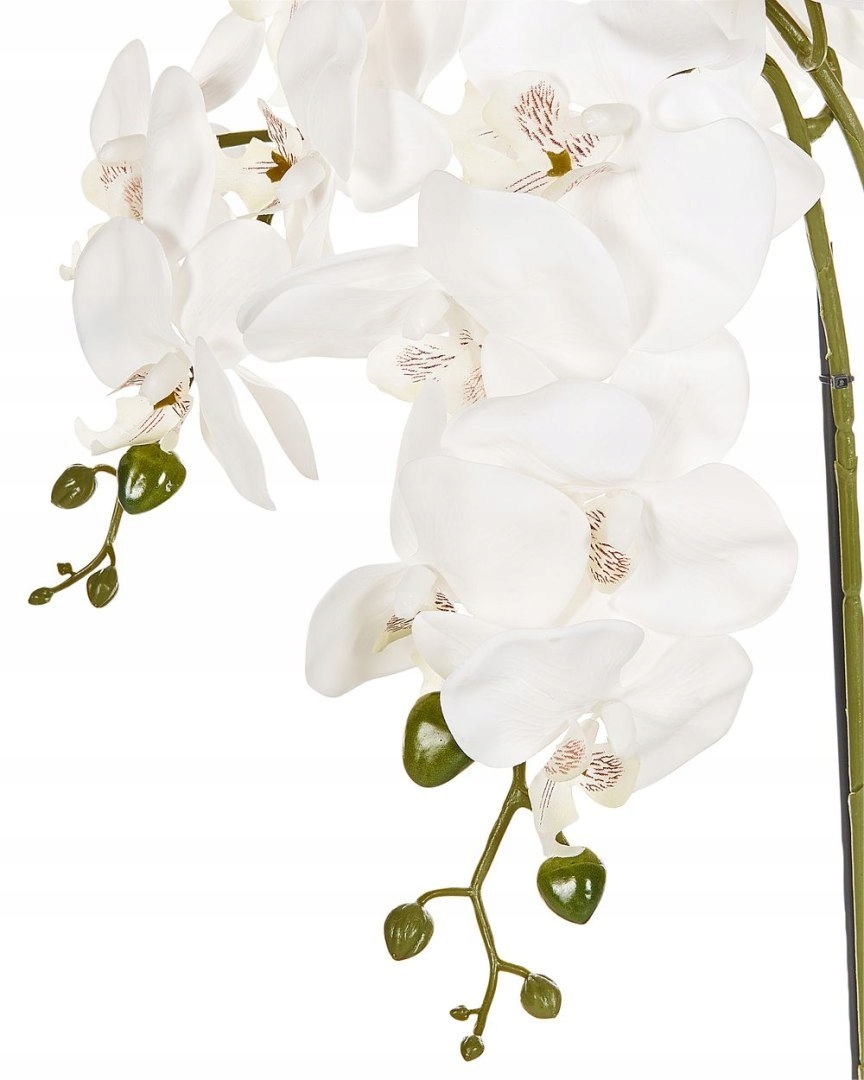 Realistyczny wygląd z delikatnymi białymi kwiatami