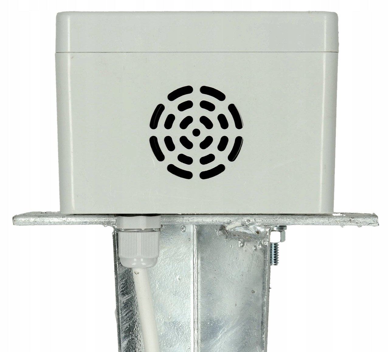 Głośne ultradźwięki – Efektywna metoda na niepożądane szkodniki