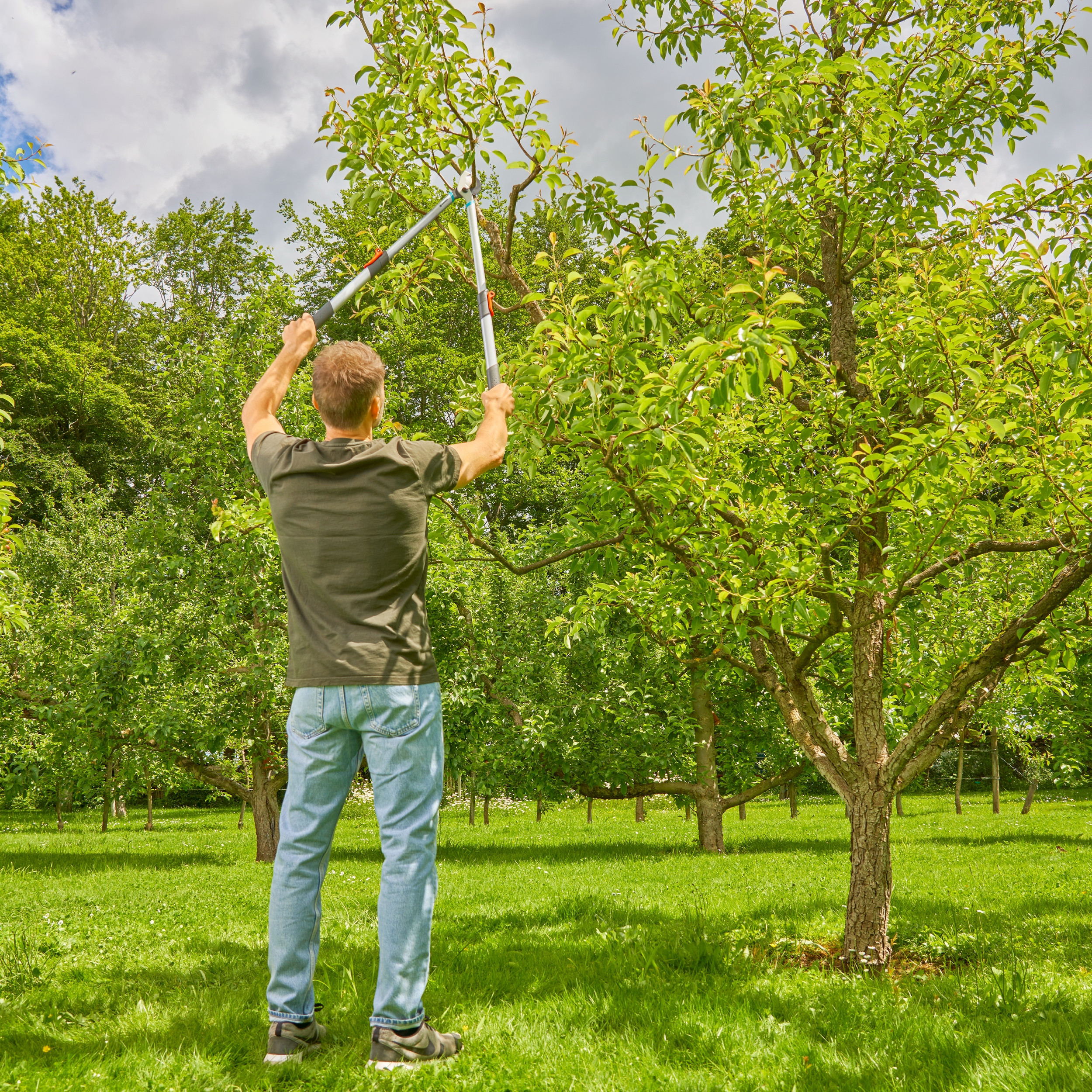 Czyste i precyzyjne cięcia dla zdrowych roślin