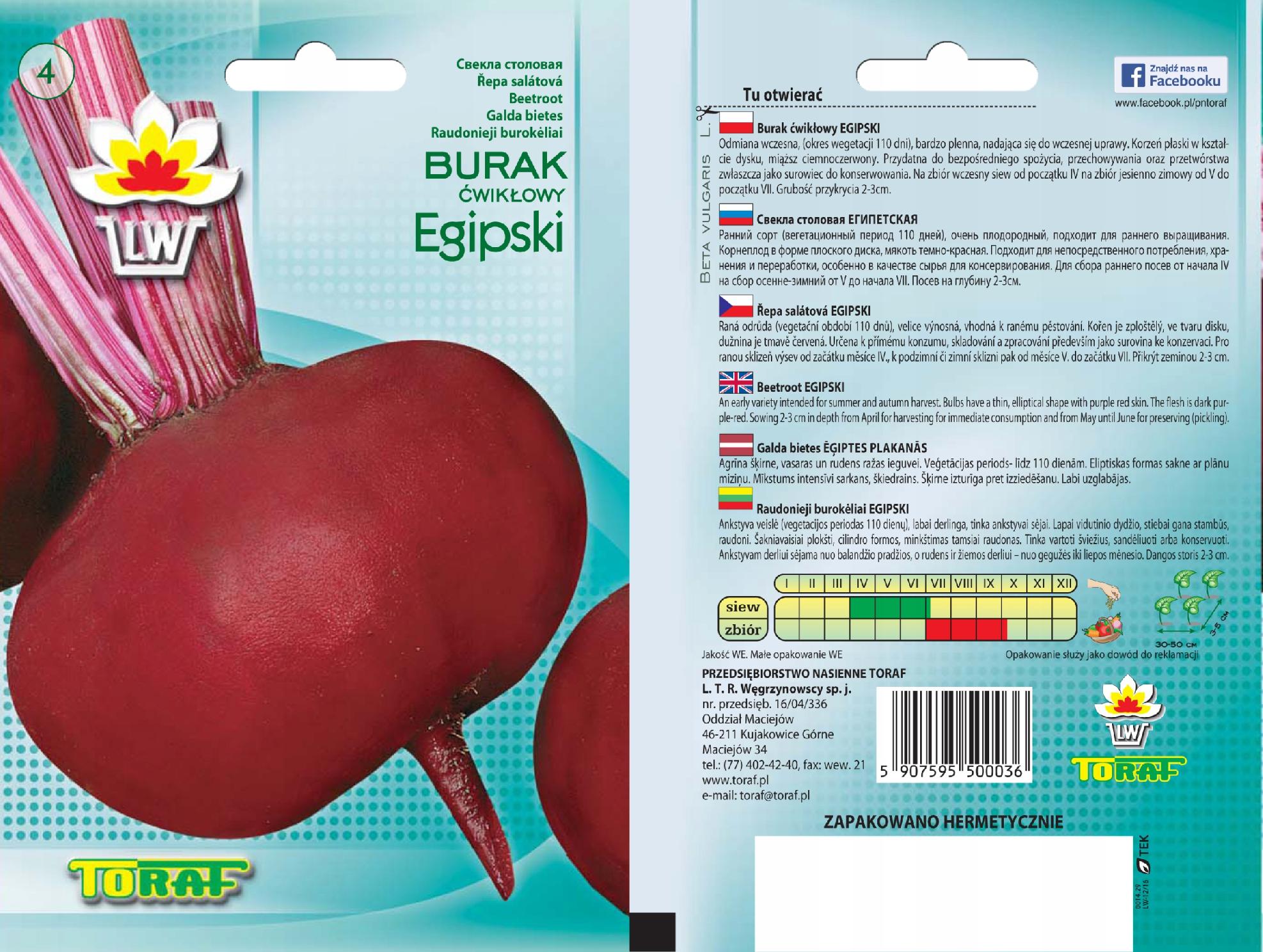 Wszechstronne zastosowanie buraków w kuchni