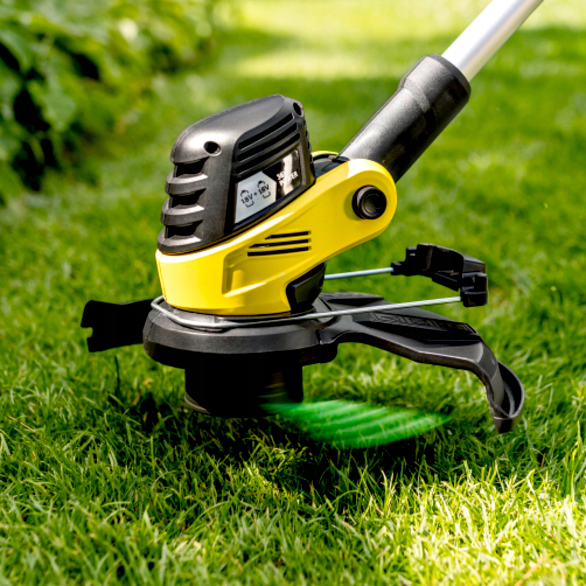 Ochrona roślin – Składana osłona dla delikatnych roślin