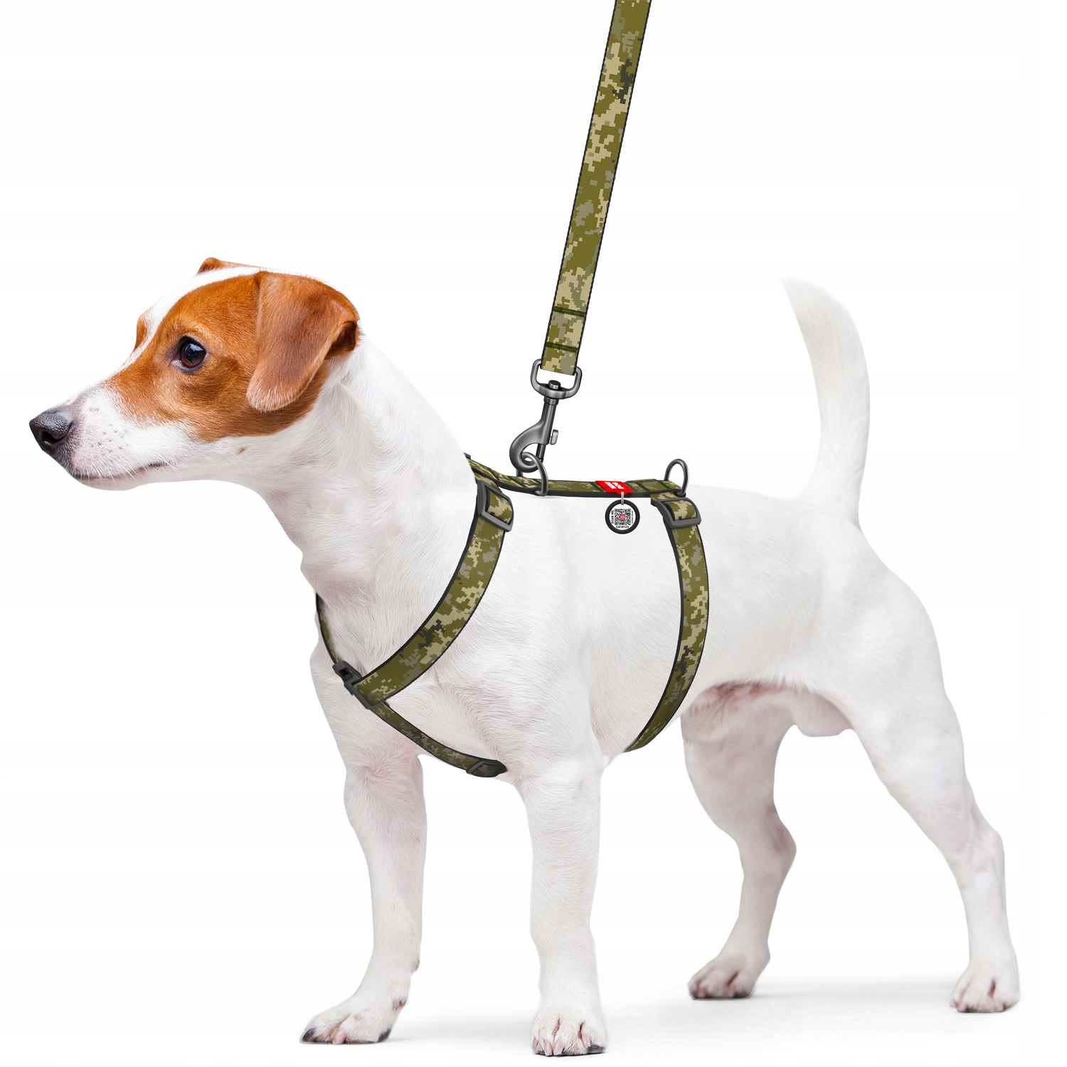 Bezuciskowe szelki – Komfortowe dopasowanie dla małych psów