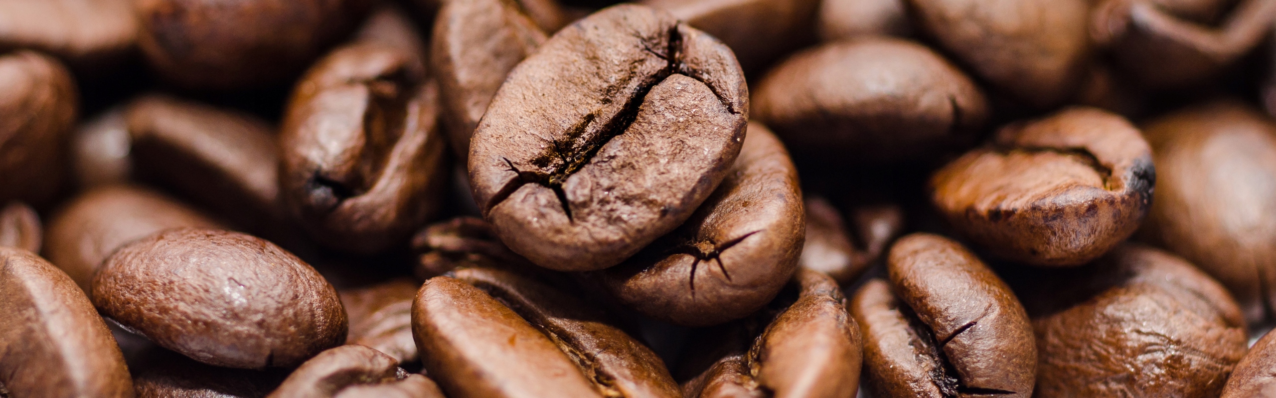 Starannie wyselekcjonowane ziarna kawy z całego świata