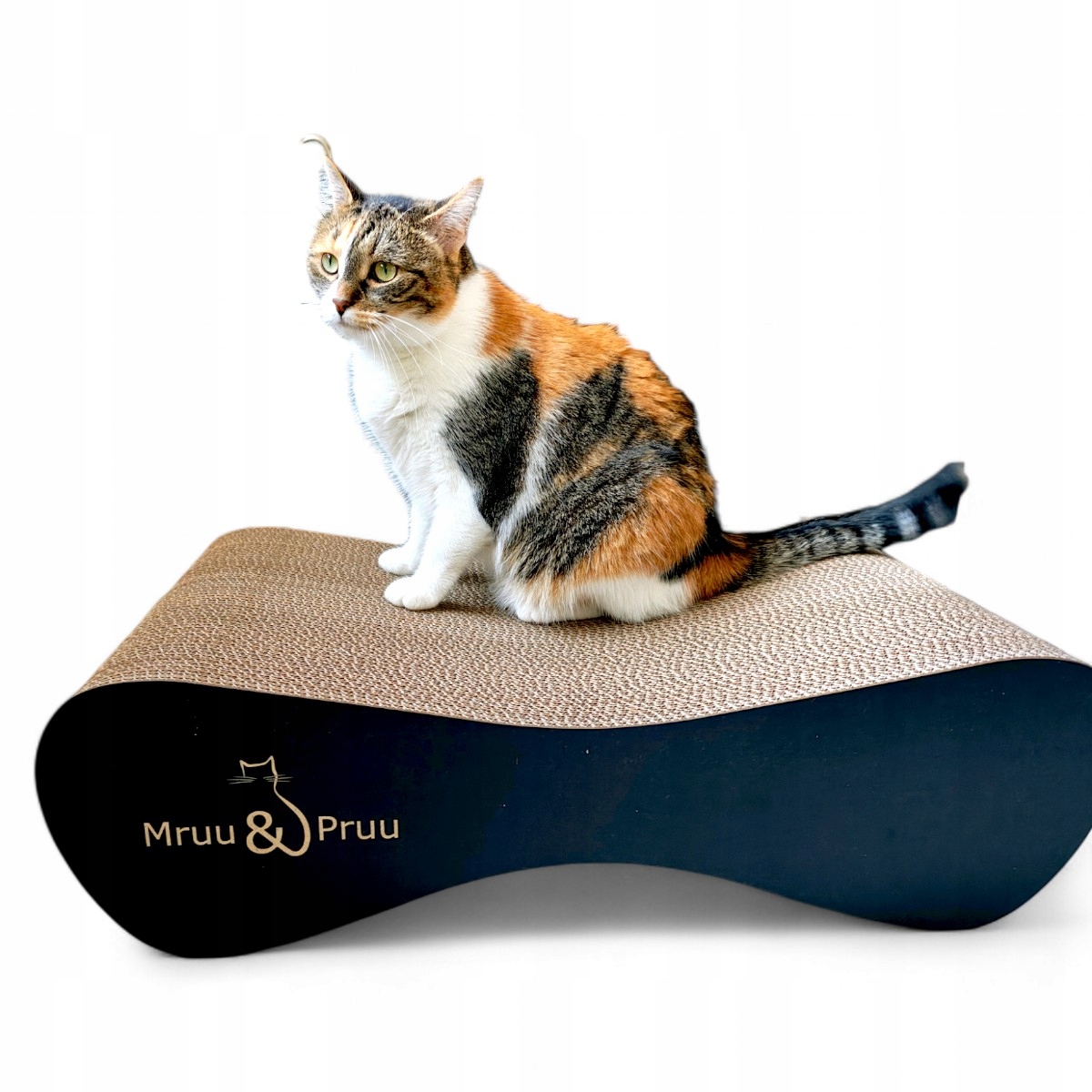 Funkcjonalność dwustronna – Wygodne użytkowanie dla Twojego kota