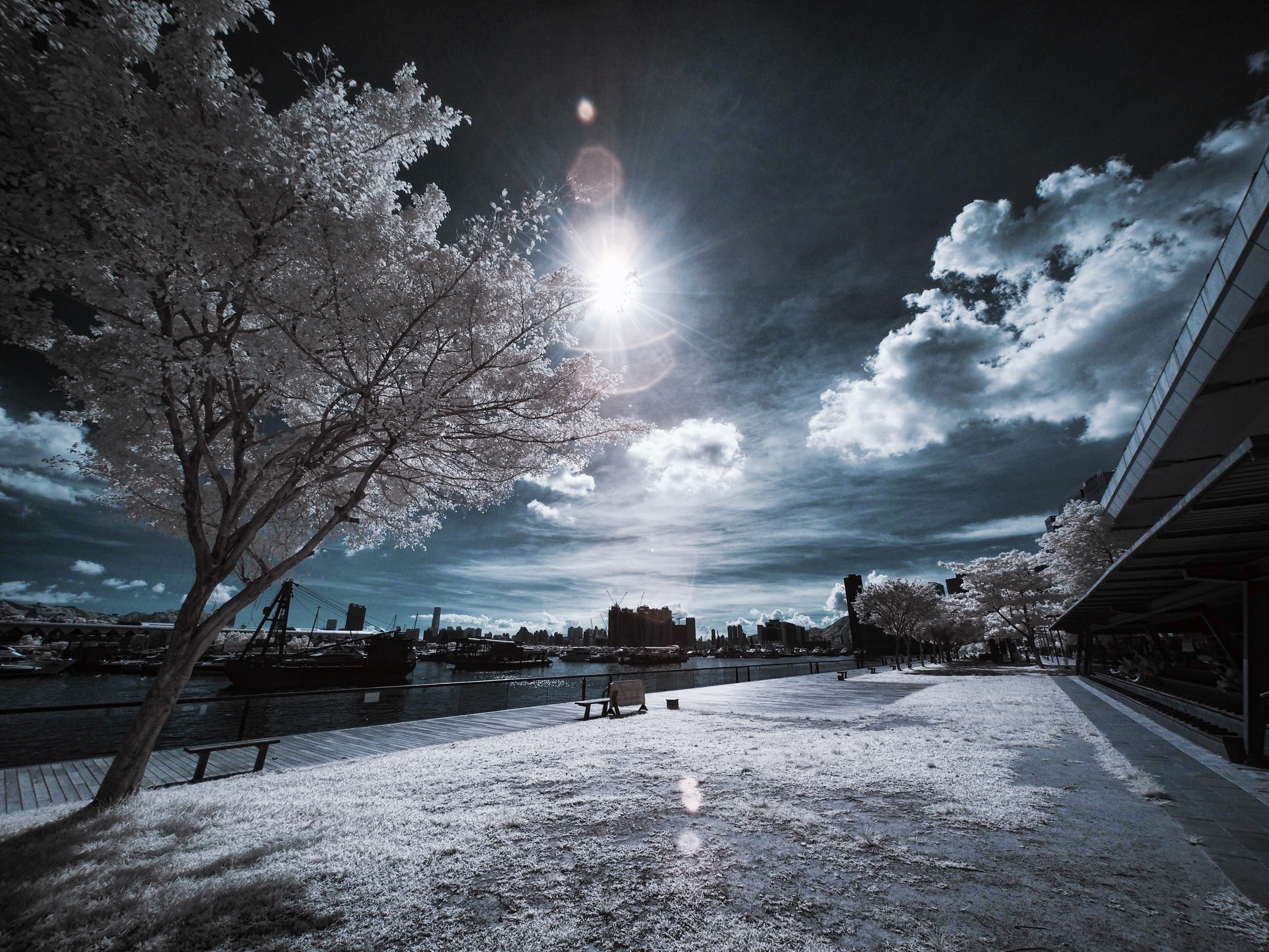 Obiektyw Venus Optics Laowa C-Dreamer 6 mm f/2,0 do Micro 4/3