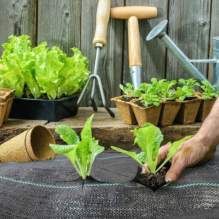 Ochrona przed chwastami – Naturalne metody pielęgnacji roślin
