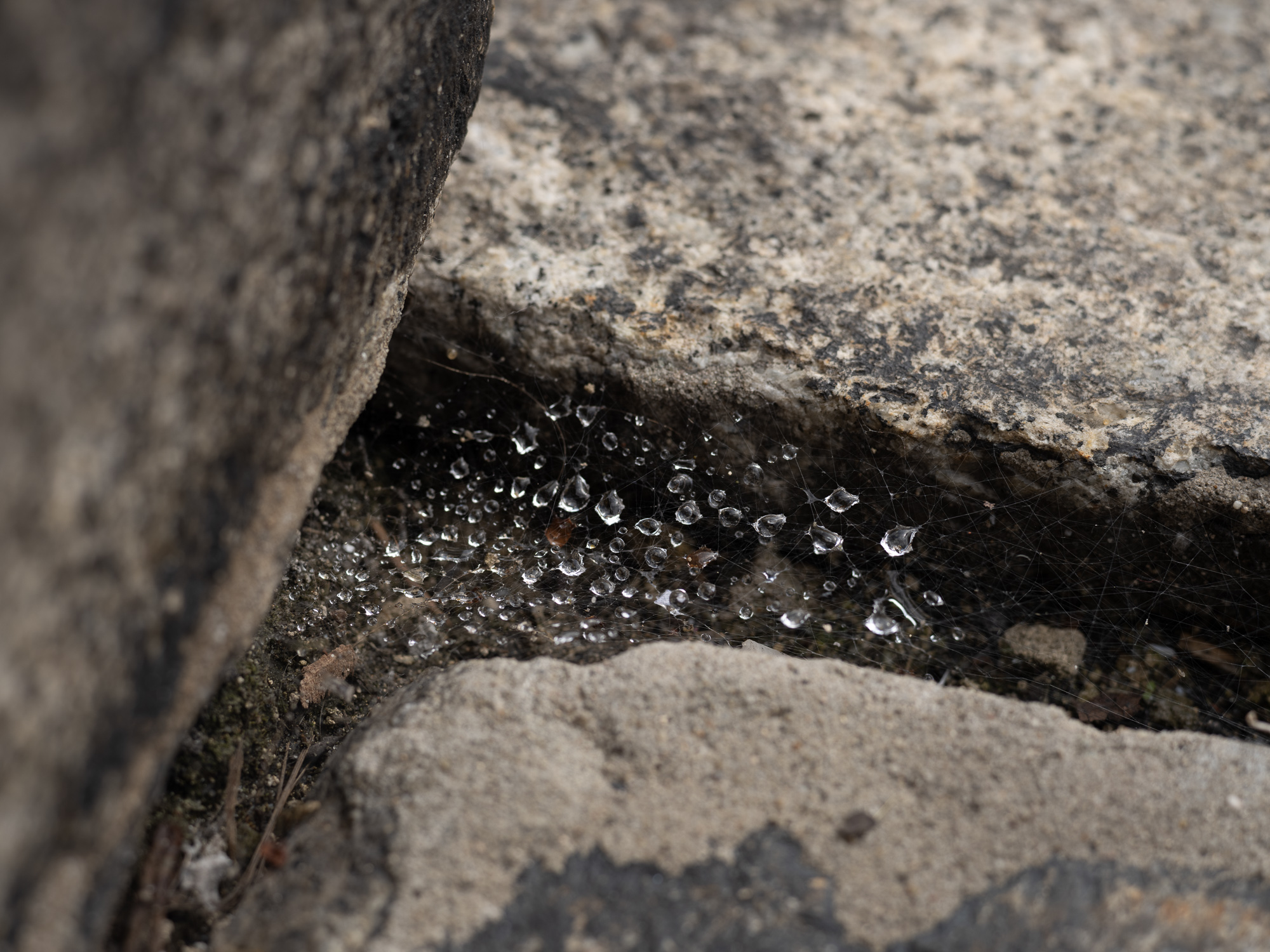 Obiektyw Voigtlander Ultron 75 mm f/1,9 do Leica M - MC